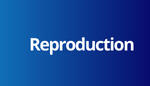 Physiologique - Reproduction