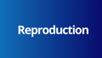 Reproduction